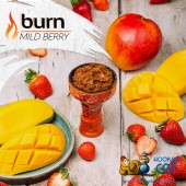 Табак Burn Mild Berry (Земляника Манго) 25г Акцизный